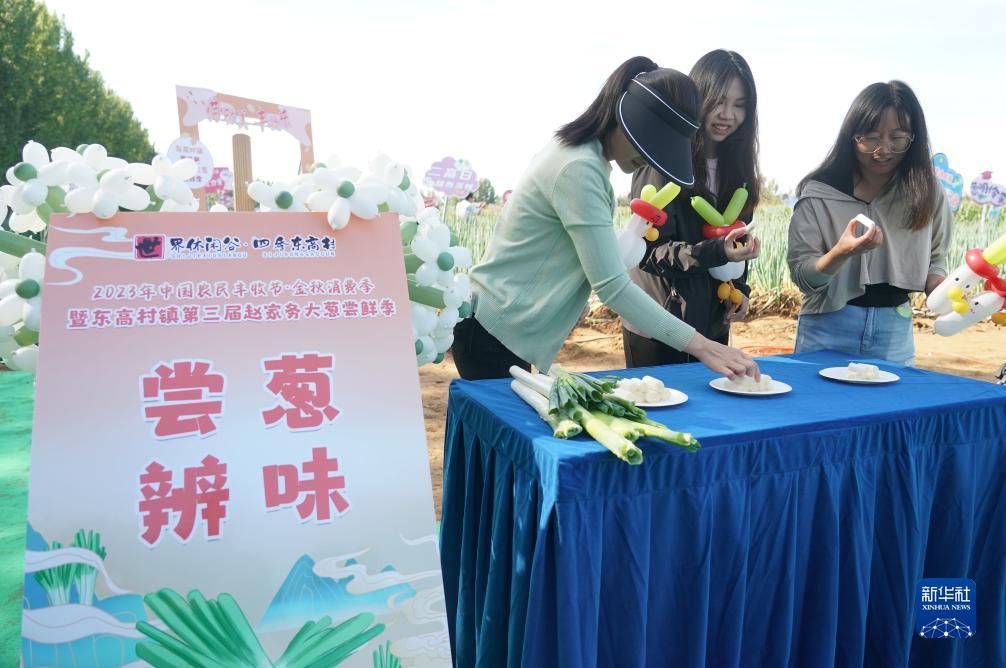 打牌网下载苹果